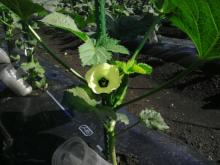 PE_20120816140708.jpg