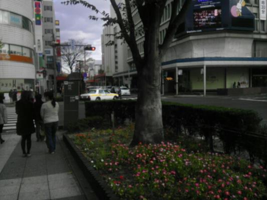 PE_20121115202050.jpg