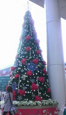 PE_20121123163111.jpg
