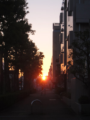 IMG_5134.jpg