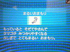 ポケモンB2W2 全国完成アイテム まるいおまもり