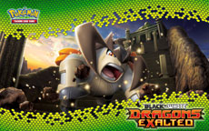 Pokemon TCG Black & White-Dragons Exalted Terrakion