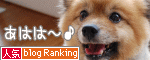 人気ブログランキングへ