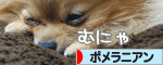 にほんブログ村 犬ブログ ポメラニアンへ