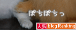人気ブログランキングへ