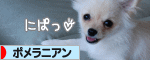 にほんブログ村 犬ブログ ポメラニアンへ