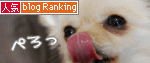 人気ブログランキングへ