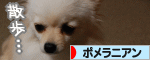 にほんブログ村 犬ブログ ポメラニアンへ