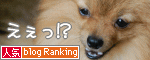 人気ブログランキングへ