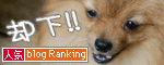 人気ブログランキングへ