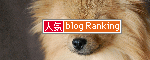 人気ブログランキングへ