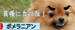 にほんブログ村 犬ブログ ポメラニアンへ