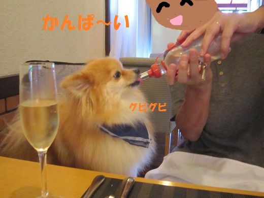 かんぱ~い