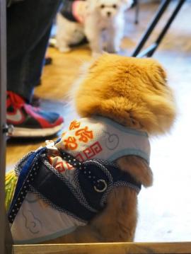 2013y05m05d_180433569.jpg
