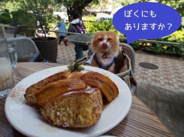 2013y05m17d_201721014.jpg