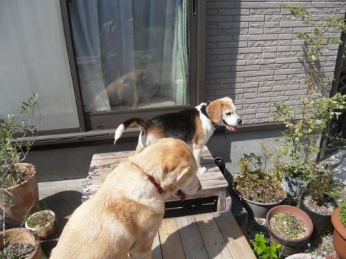 10_20130421102749.jpg