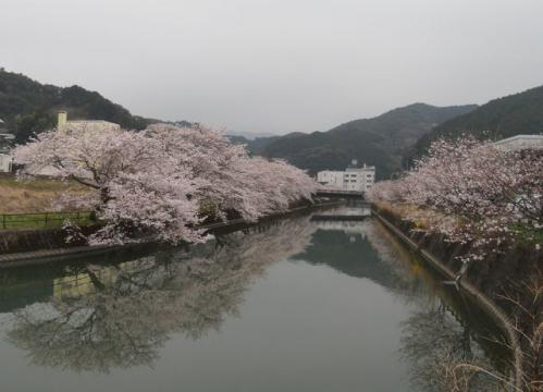 13_20130324221734.jpg