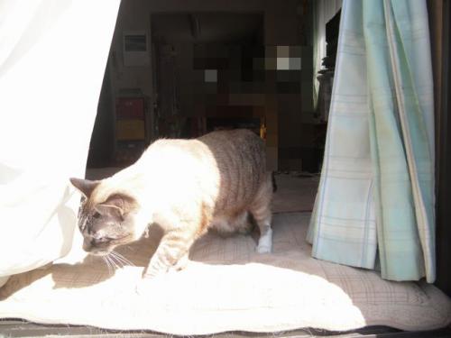 14_20130405212438.jpg