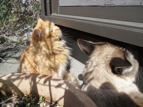 17_20130405212514.jpg