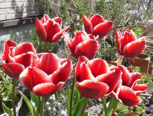 19_20130405212517.jpg