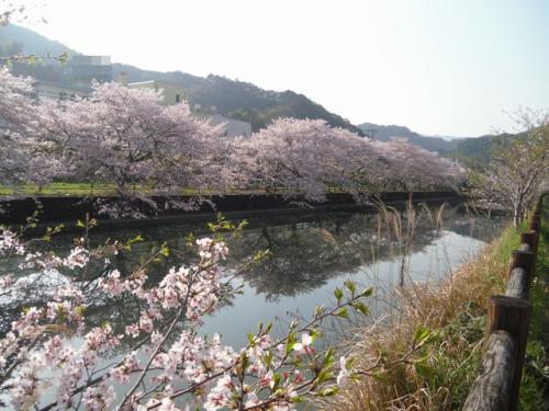 1_20130401220354.jpg