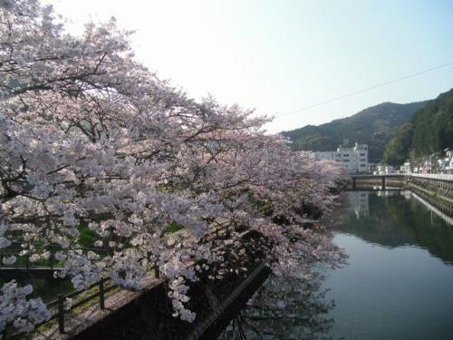 2_20130401220356.jpg