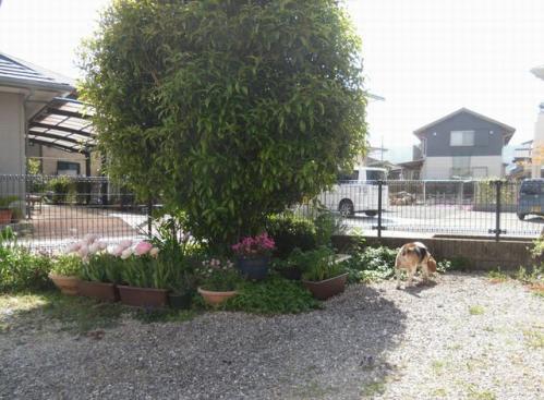 2_20130421102603.jpg