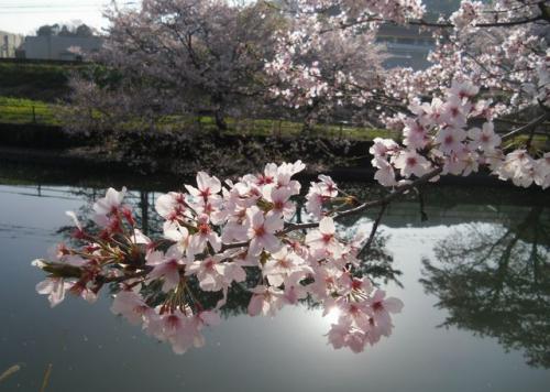 3_20130401220358.jpg