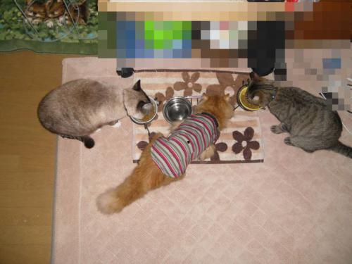 4_20130324221614.jpg