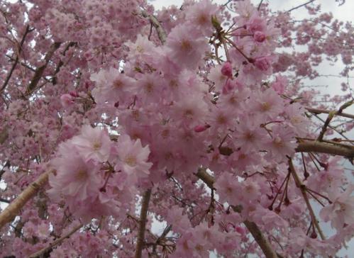 5_20130405212147.jpg