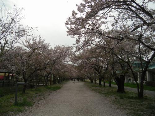 6_20130405212339.jpg