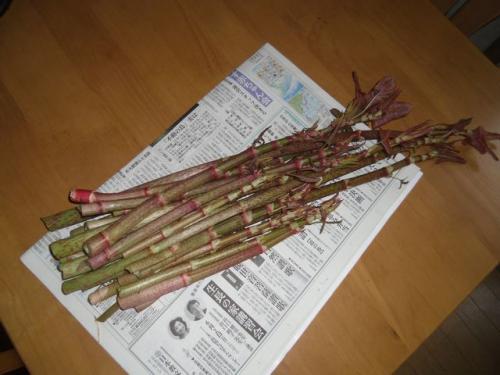 6_20130421102716.jpg