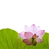 ss-2010022601254266279.jpg