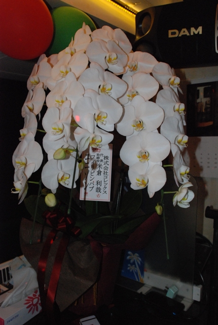 開店お祝いのお花