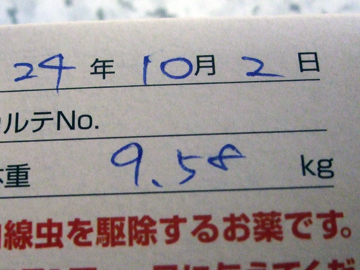 2015.jpg