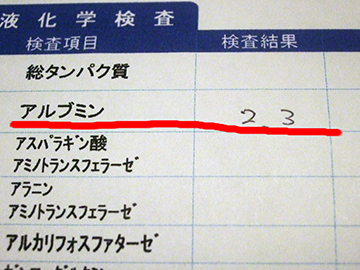 血液検査結果