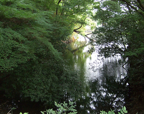 武田神社-06