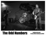 1813OddNumbers.jpg