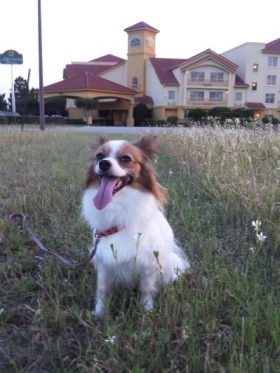 2012050701.jpg