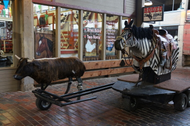 2012050811.jpg