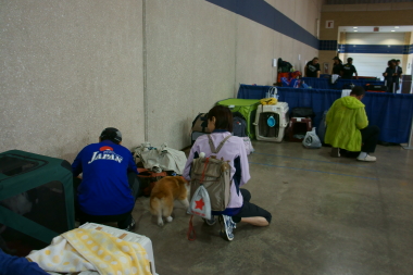 2012050904.jpg