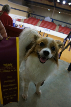 2012051001.jpg