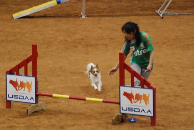 2012051201.jpg