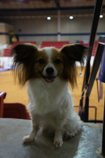 2012051305.jpg