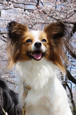 2012053101.jpg