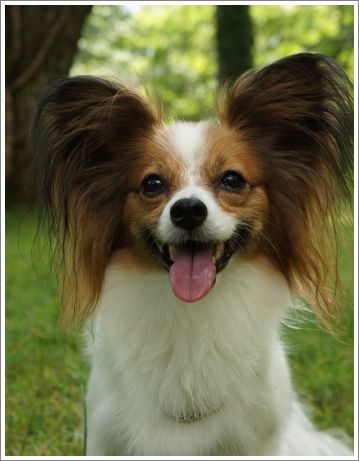 2012091801.jpg