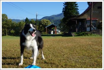 2012102204.jpg