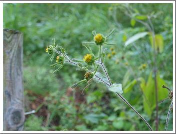 2012102401.jpg