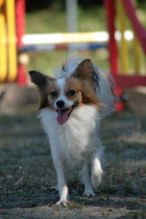 2012110301.jpg