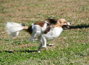 2012111101.jpg